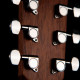 Cort GA-FF-NAT elektro-akusztikus gitár