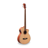 SOUNDSATION SAB10 NTS - Cutaway acoustic bass with preamp
