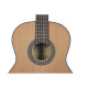 ESTUDIO SOLIDA 44CS - 4/4 Classic guitar with solid cedar top - Satin