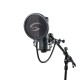 SOUNDSATION PF-12 - Studio Pop Screen for Microphone