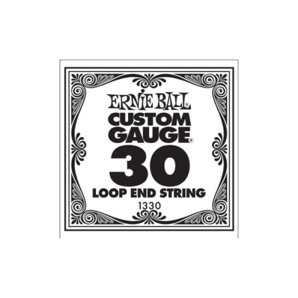 Ernie Ball P01330 - .030 Stainless Steel Bass