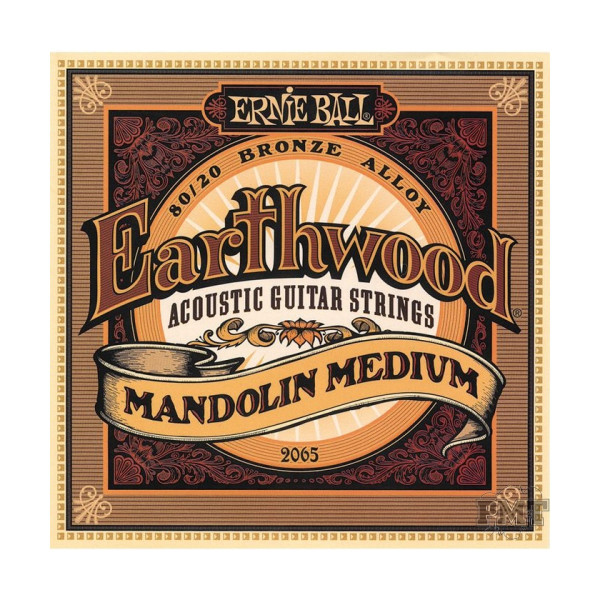 Ernie Ball P02065 - Earthwood Mandolin 80/20 Bronze Loop End - Medium