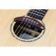 SP-1 - SP-1 pickup acoustic guitar hole