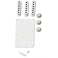 991362000 - Accessory Kit, Vintage-Style Stratocaster®, White