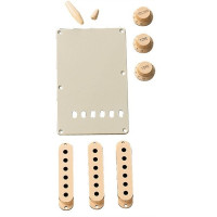 991368000 - Accessory Kit Stratocaster® Aged White