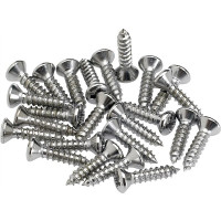 Fender 994923000 - Pickguard/Control Plate Mounting Screws 24-pack (Chrome)