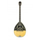 BZ-1 - BZ-1 Single-coil, soundhole-mounted design with passive electronics for bouzouki