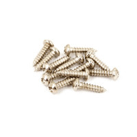 Fender 11357049 - Pure Vintage Tuning Machine Mounting Screws, Nickel-Plated, (12 pcs.)