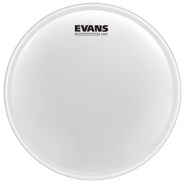 Evans UV1 10” Coated dobbőr