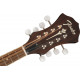 Fender PM-180E Aged Cognac Burst mandolin