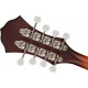 Fender PM-180E Aged Cognac Burst mandolin