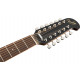 Fender Villager Black V3 12-húros elektro-akusztikus gitár