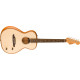 Fender Highway Series Parlor RW Natural elektro-akusztikus gitár Fender Highway Series Parlor RW Natural elektro-akusztikus gitár