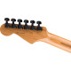 Fender Limited Edition American Professional II Stratocaster HSS HT RMN Aged Natural elektromos gitár