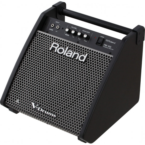 Roland PM-100 dobmonitor