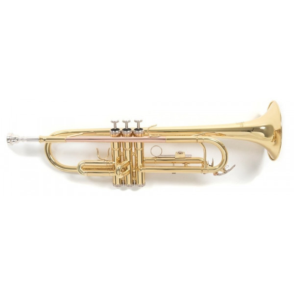 Roy Benson TR-101 (RB701.050) Bb trombita
