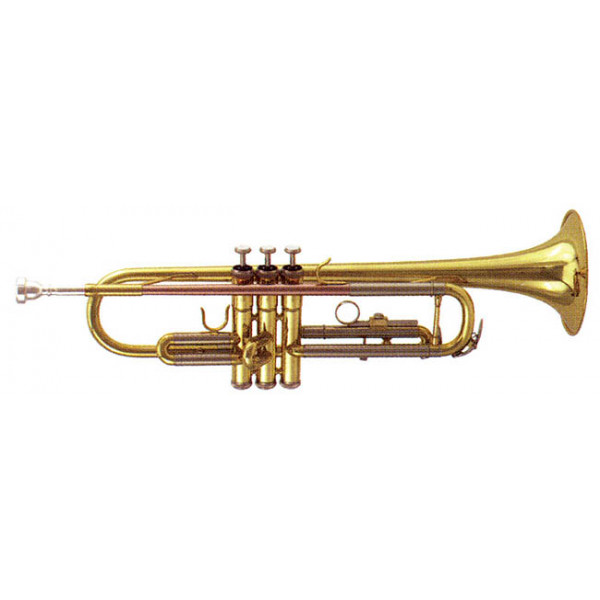 Roy Benson TR-202 (RB701.070) Bb trombita