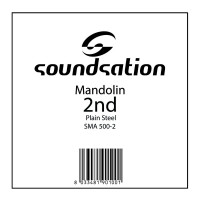 SOUNDSATION SMA 500-2 - Mandolin húr - .014