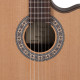 TOLEDO BEATRIZ H COP - Teljes tömör hybrid cutaway gitár, cédrus fedlappal, nyitott pórusú szatén felülettel és előerősítővel (Made in Europe)