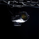 Cameo P6 - profil spotlámpa Full Colour RGBACL LED-del