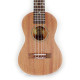 Peavey Guitars UKE-Student Student concert ukulele - ÁRZUHANÁS