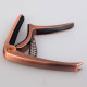 Guitto 03 Bronze capo, bronz