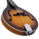 Recording King 3-TS King A-style mandolin, Tobacco Burst