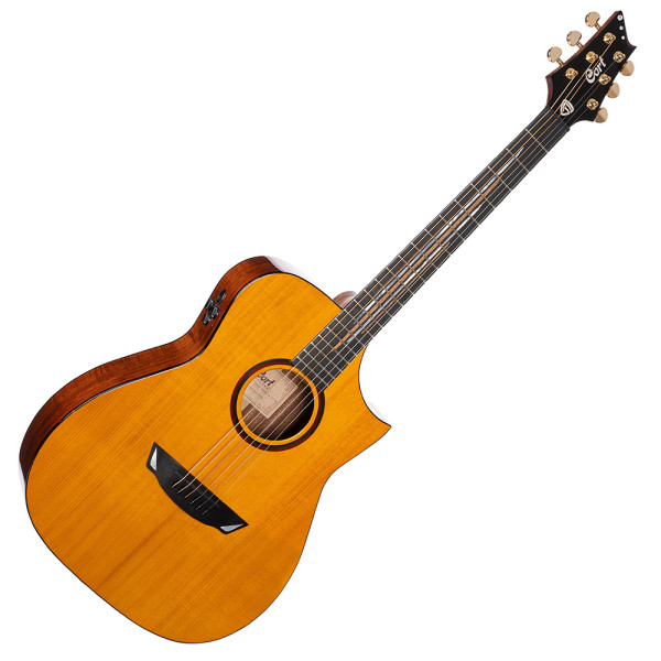 Cort Luxe II with case elektro-akusztikus gitár, Frank Gambale Signature, keménytokkal