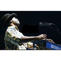 Shubb RR1 guitar steel, Robert Randolph design