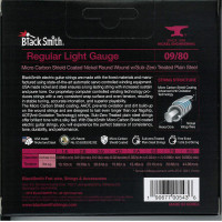 BlackSmith AANW-0980-8 AAOT Electric, Regular Light 09-80 húr - 8 húros